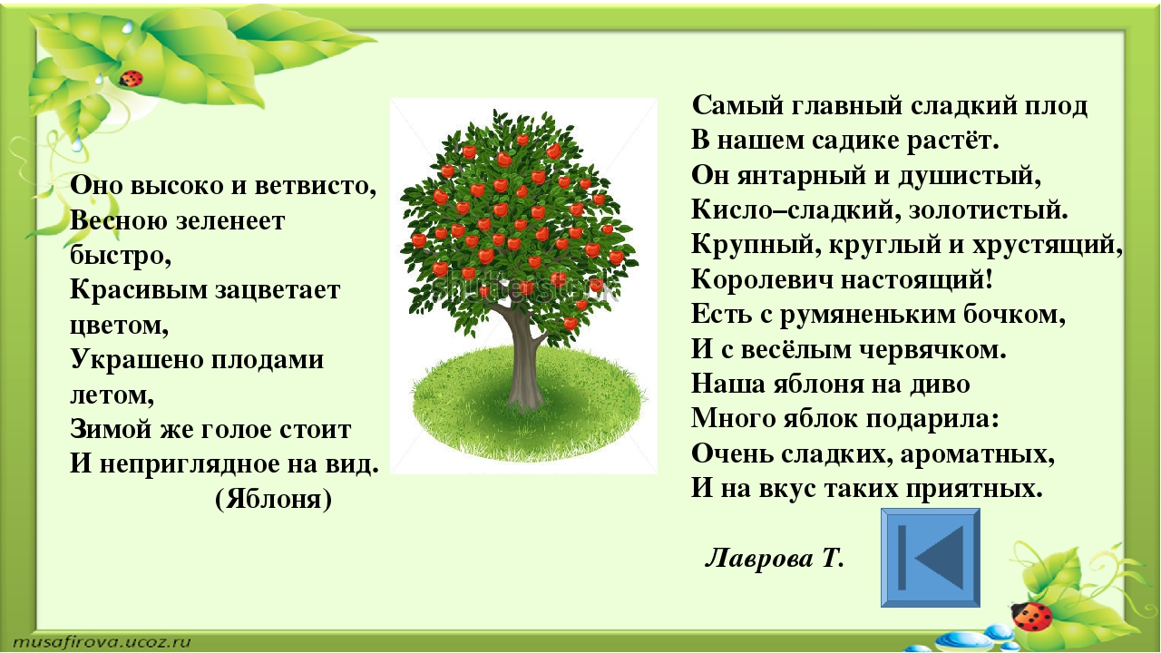 Игра для старших дошкольников РЕБУСЫ "Растения"