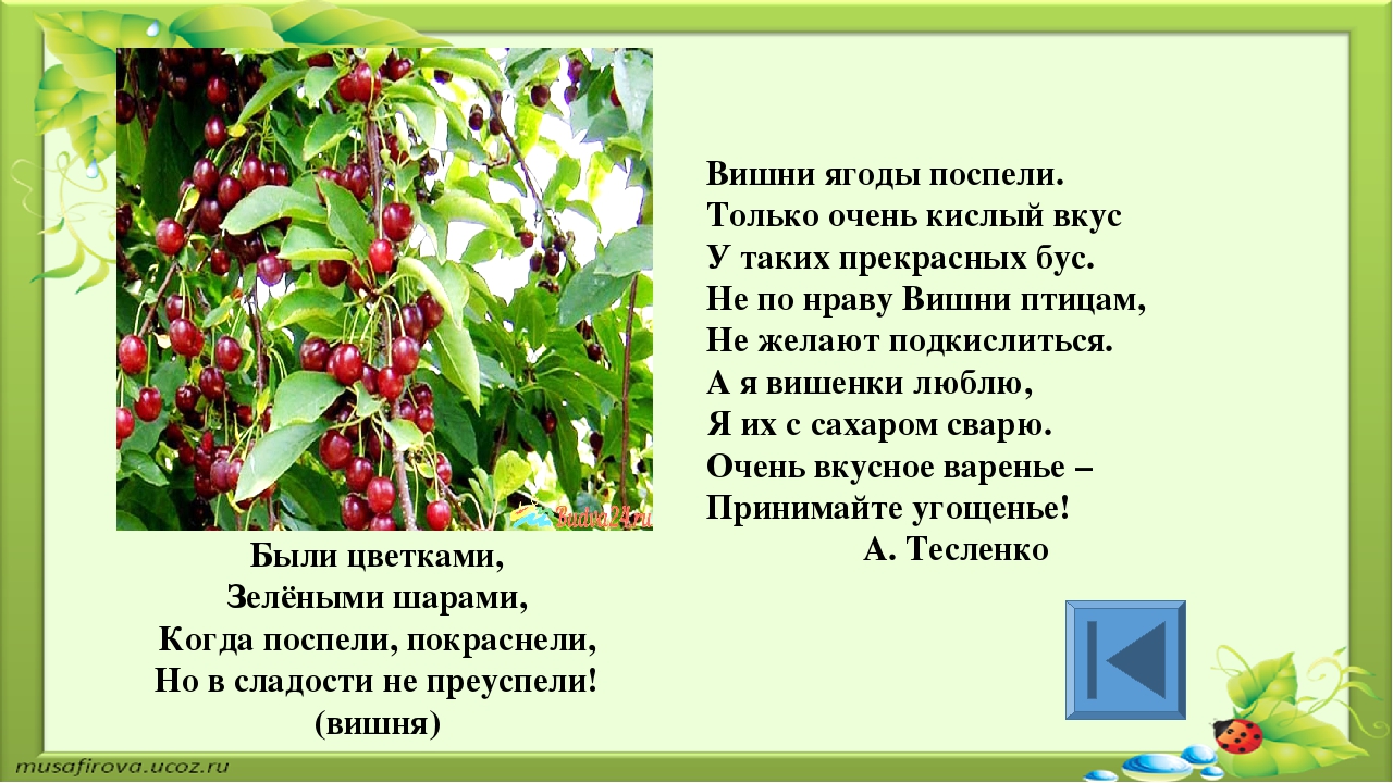 Игра для старших дошкольников РЕБУСЫ "Растения"