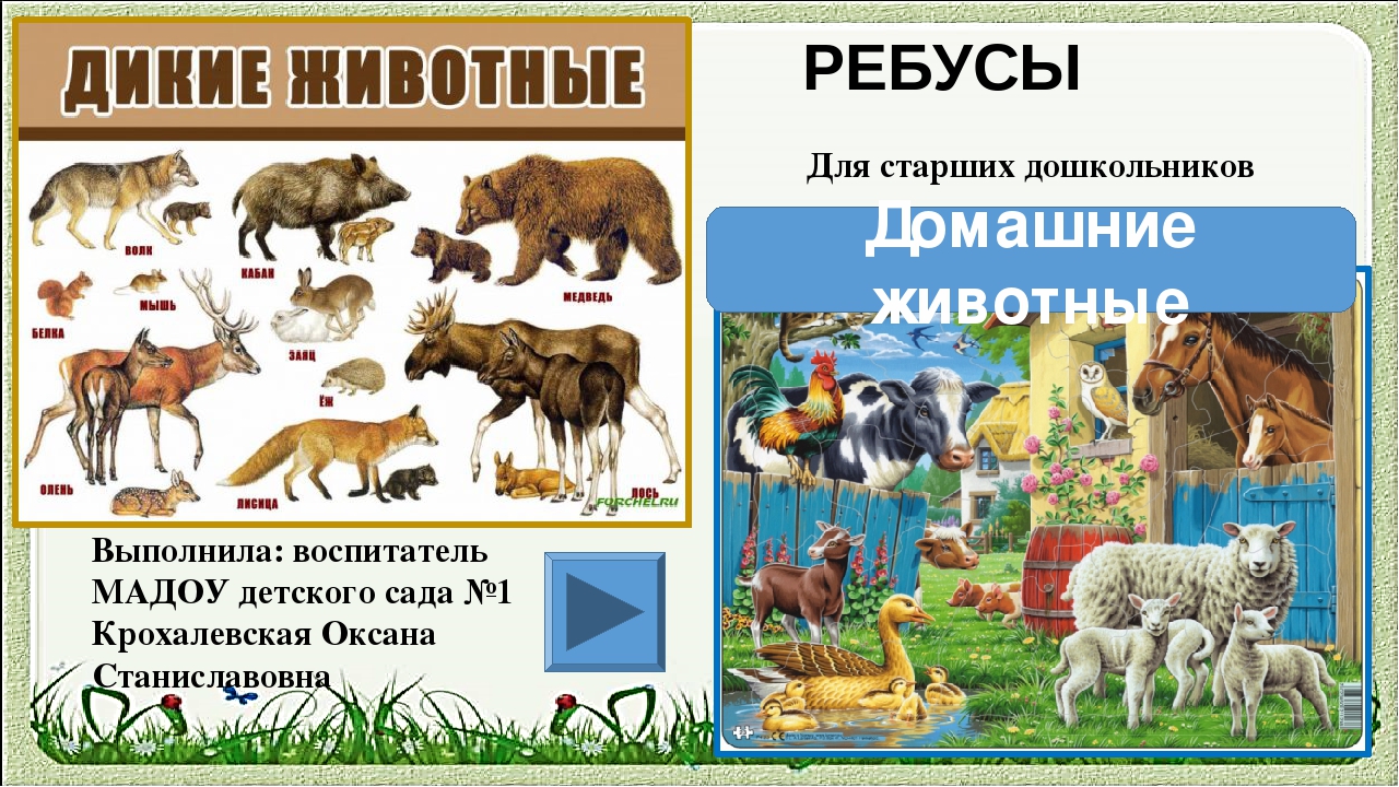 Игра для старших дошкольников РЕБУСЫ "Дикие и домашние животные"