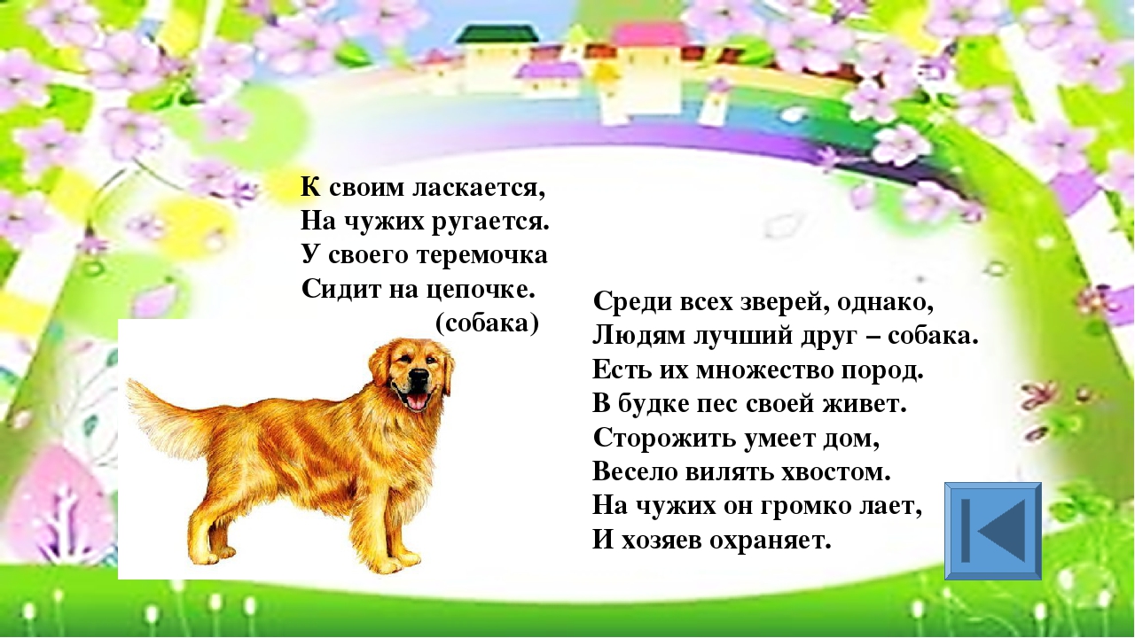 Игра для старших дошкольников РЕБУСЫ "Дикие и домашние животные"