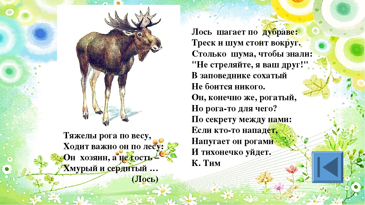 Слово лось схема