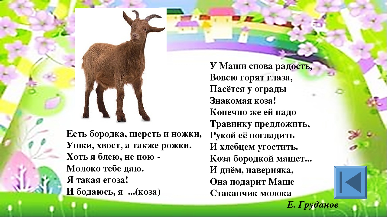 Игра для старших дошкольников РЕБУСЫ "Дикие и домашние животные"