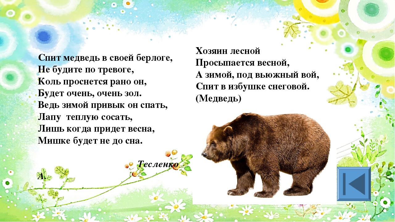 Долго спал медведь