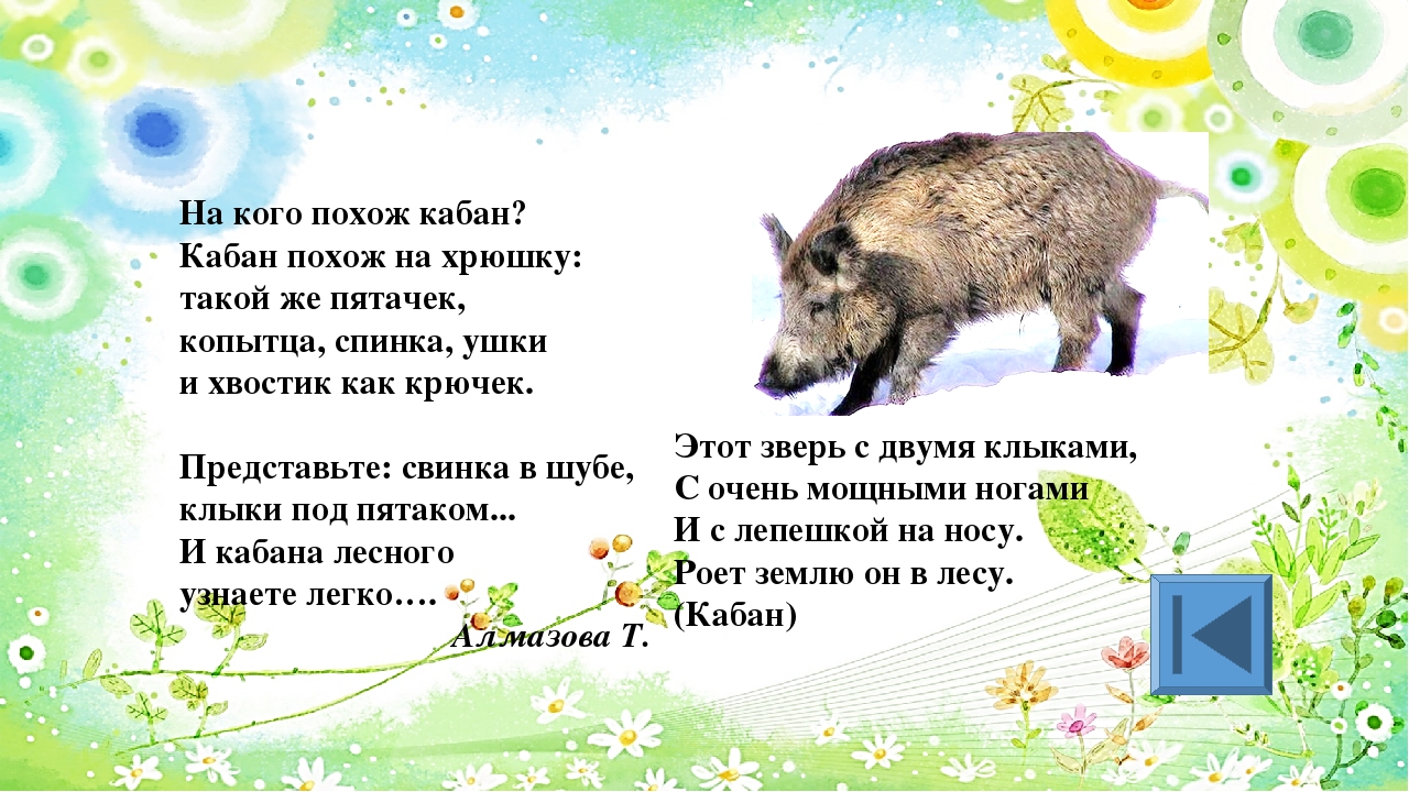 Игра для старших дошкольников РЕБУСЫ "Дикие и домашние животные"