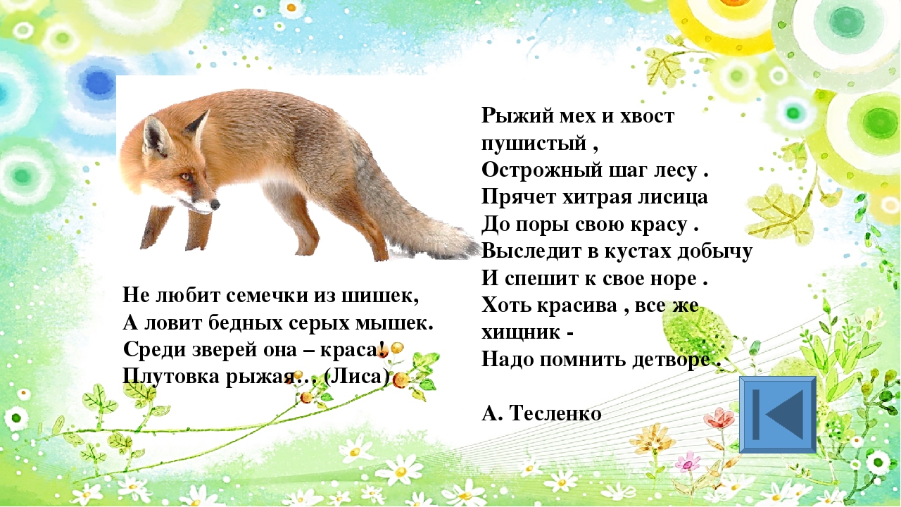 Игра для старших дошкольников РЕБУСЫ "Дикие и домашние животные"