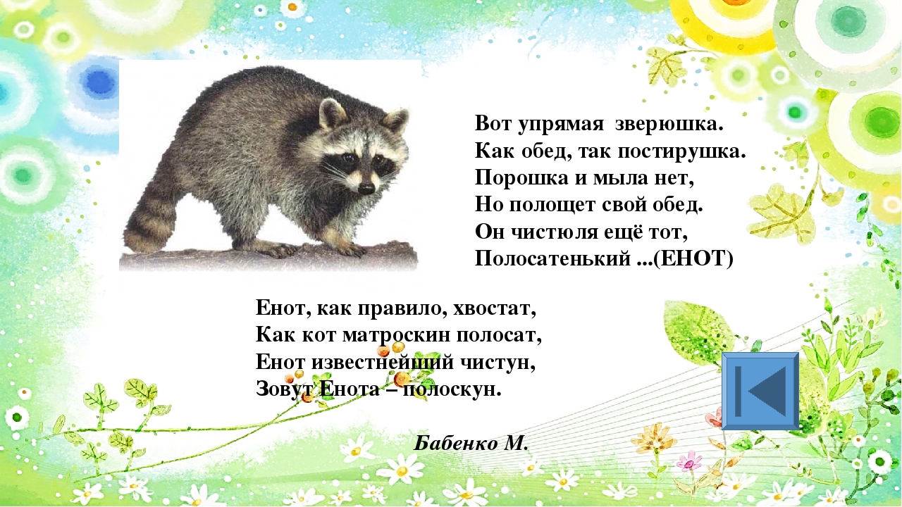 Игра для старших дошкольников РЕБУСЫ "Дикие и домашние животные"