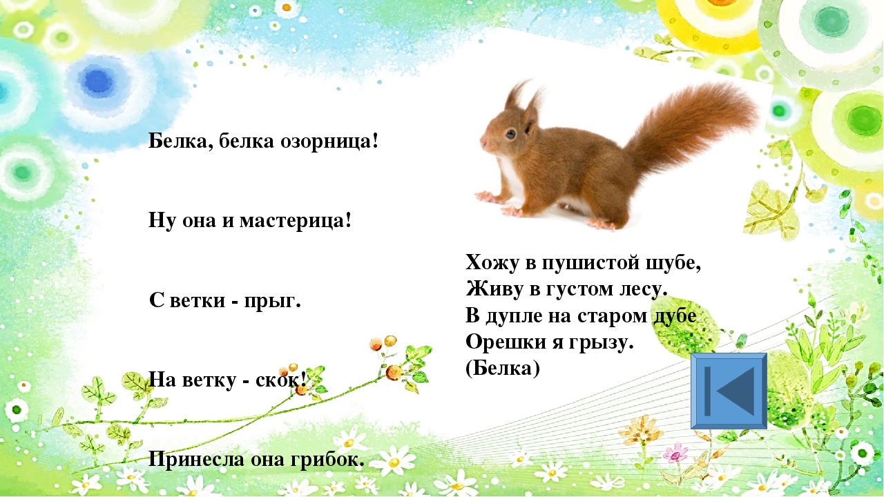 Игра для старших дошкольников РЕБУСЫ "Дикие и домашние животные"