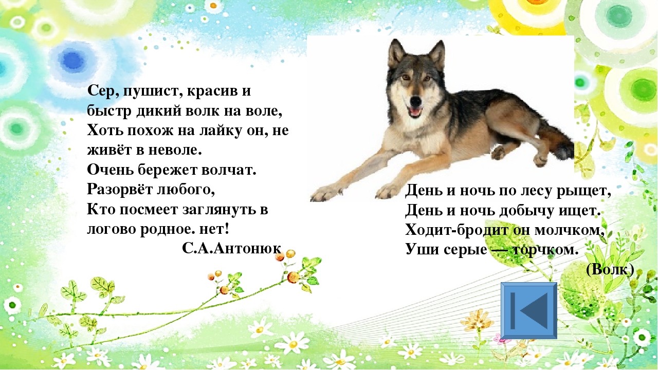 Игра для старших дошкольников РЕБУСЫ "Дикие и домашние животные"