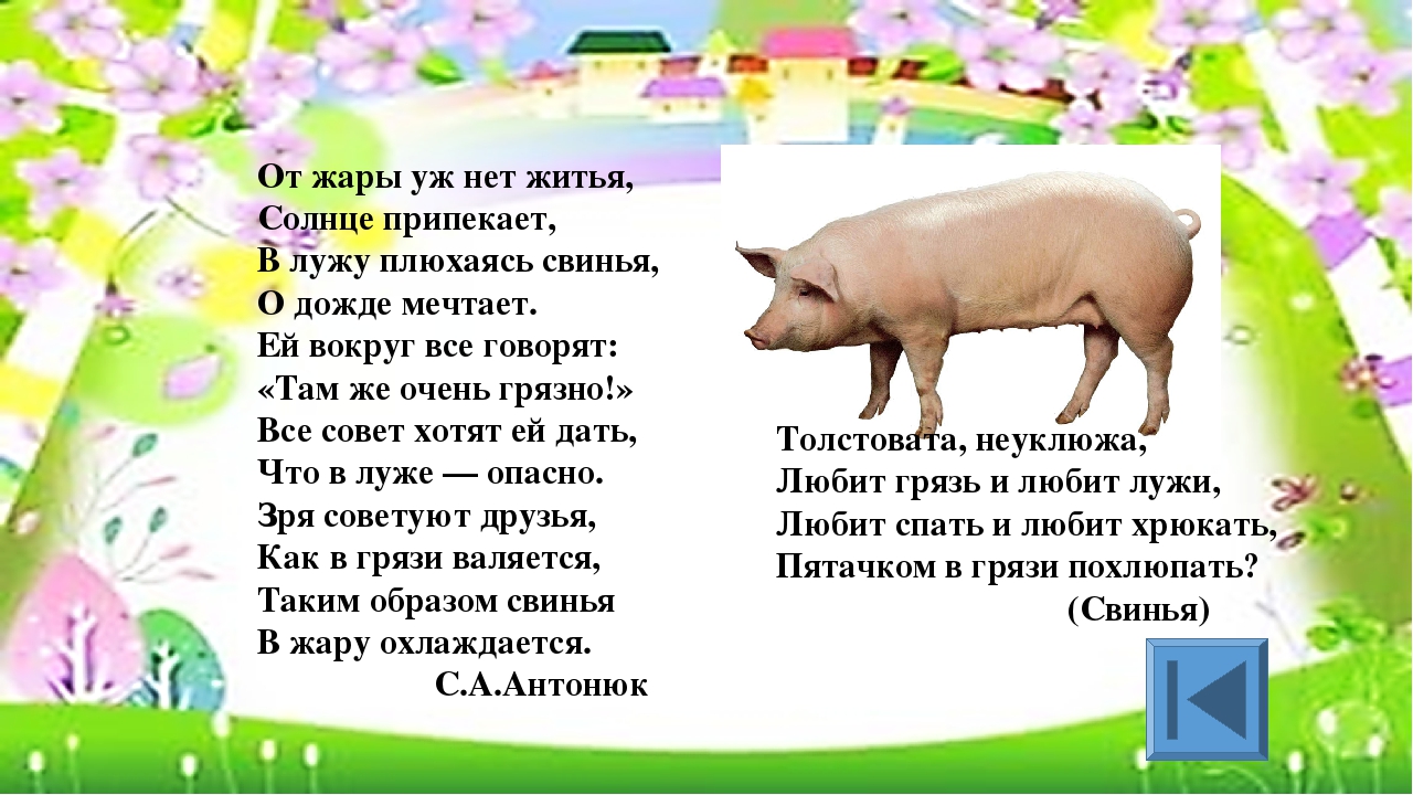 Игра для старших дошкольников РЕБУСЫ "Дикие и домашние животные"