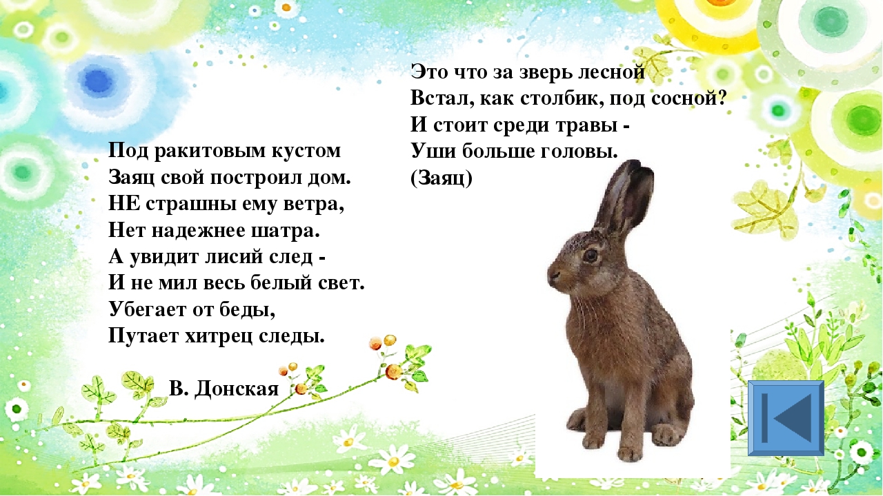 Игра для старших дошкольников РЕБУСЫ "Дикие и домашние животные"