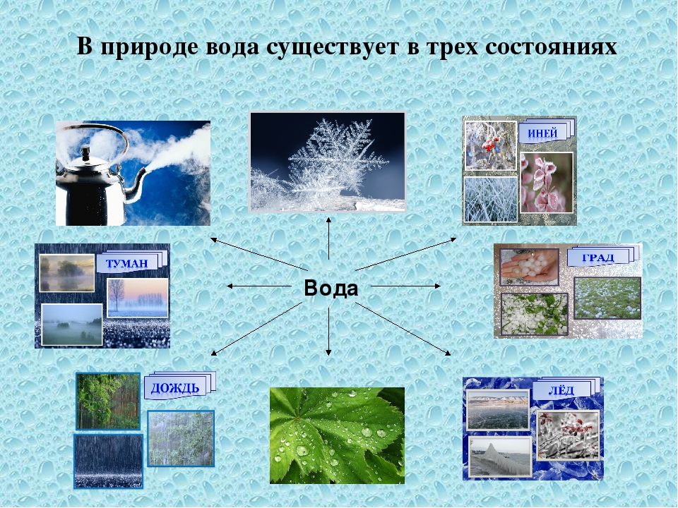 Три свойства воды для средней группы