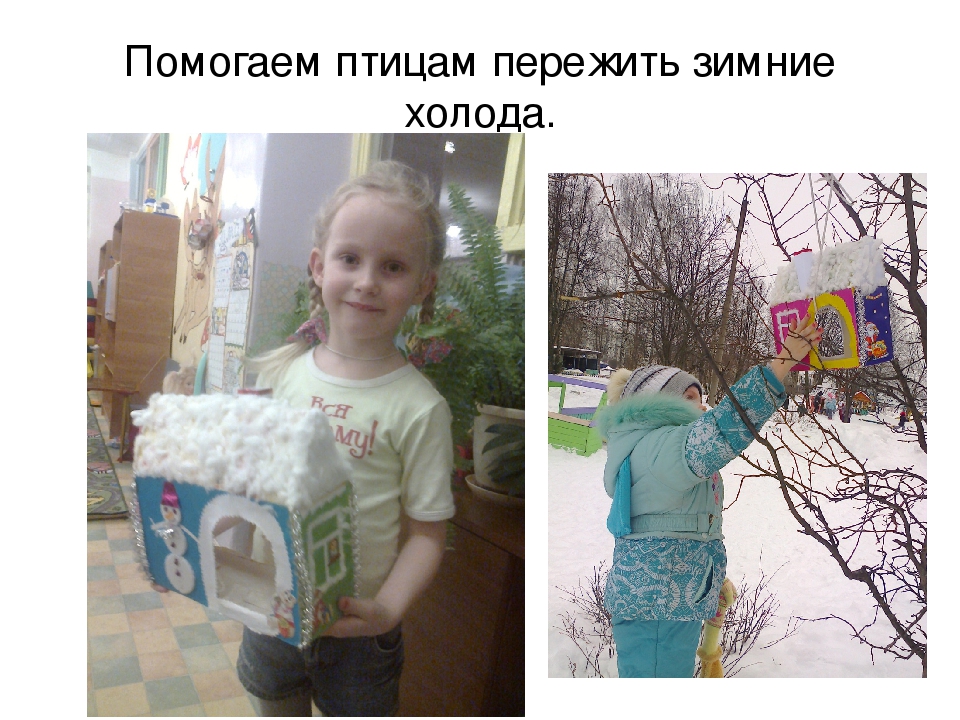 Презентация к занятию по экологии "Берегите природу".
