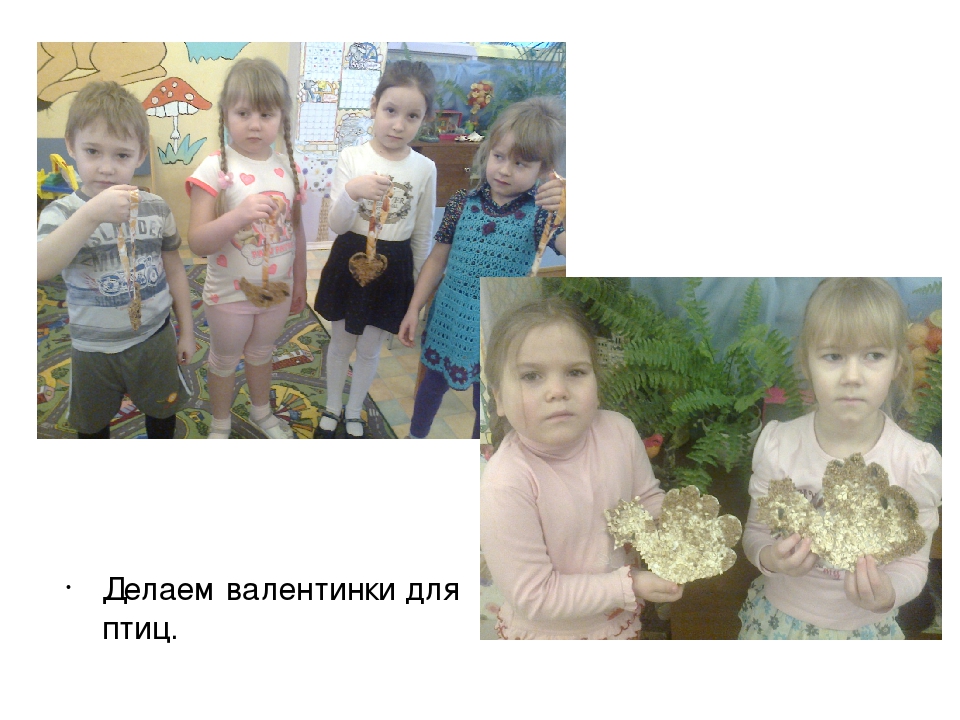 Презентация к занятию по экологии "Берегите природу".