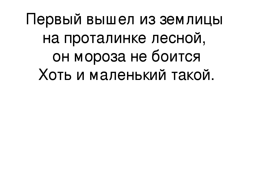 Презентация к занятию по экологии "Берегите природу".