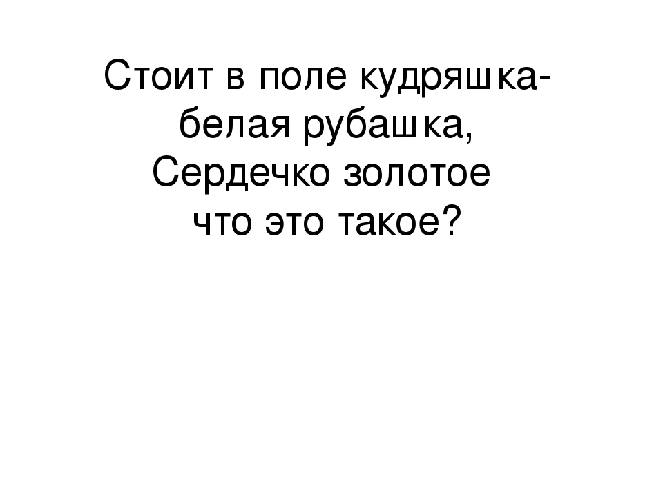 Презентация к занятию по экологии "Берегите природу".