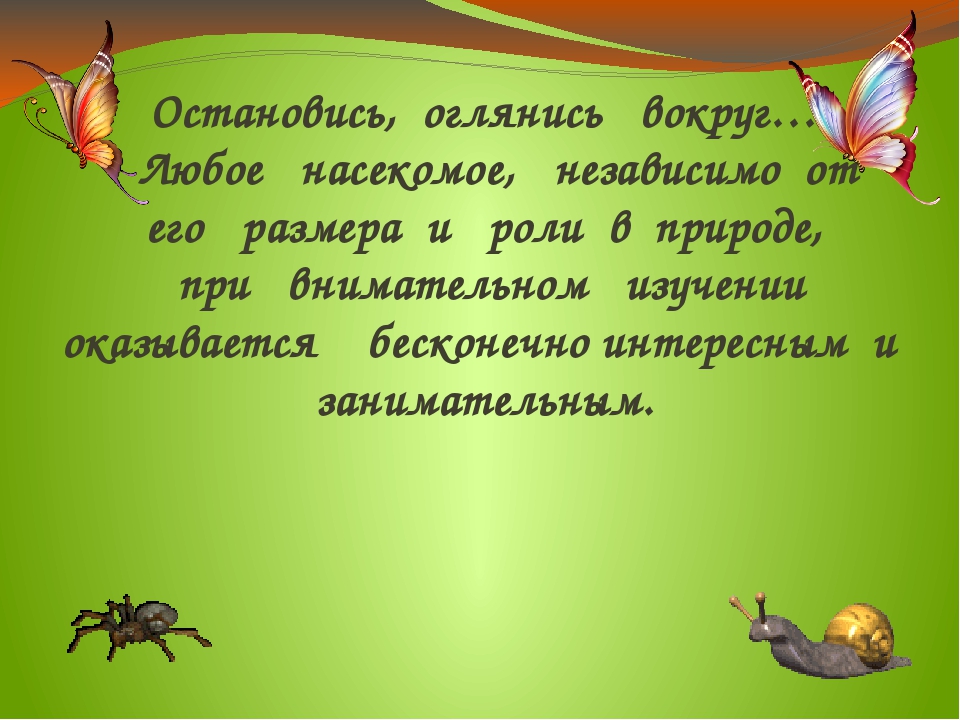 Презентация проекта "Хочу всё знать про насекомых"