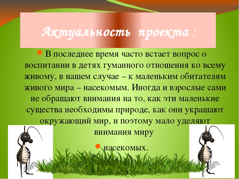 Презентация проекта "Хочу всё знать про насекомых"