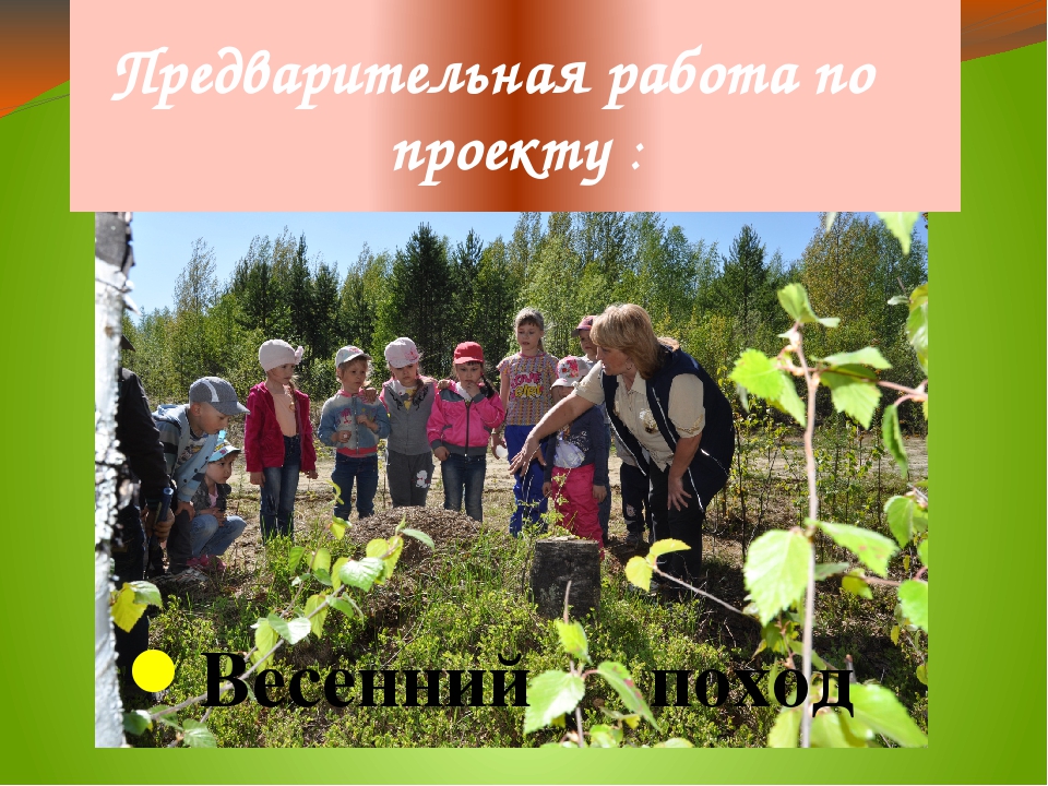 Презентация проекта "Хочу всё знать про насекомых"