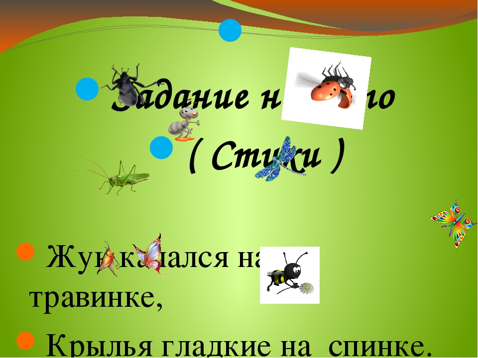Презентация проекта "Хочу всё знать про насекомых"