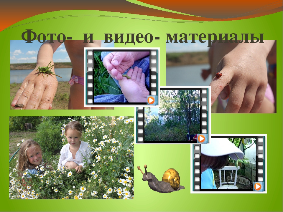 Презентация проекта "Хочу всё знать про насекомых"