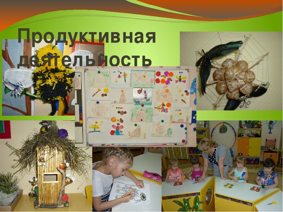 Презентация проекта "Хочу всё знать про насекомых"