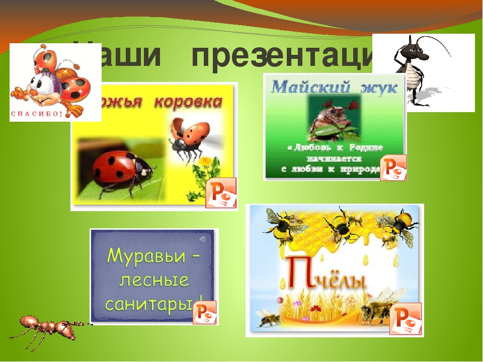 Презентация проекта "Хочу всё знать про насекомых"