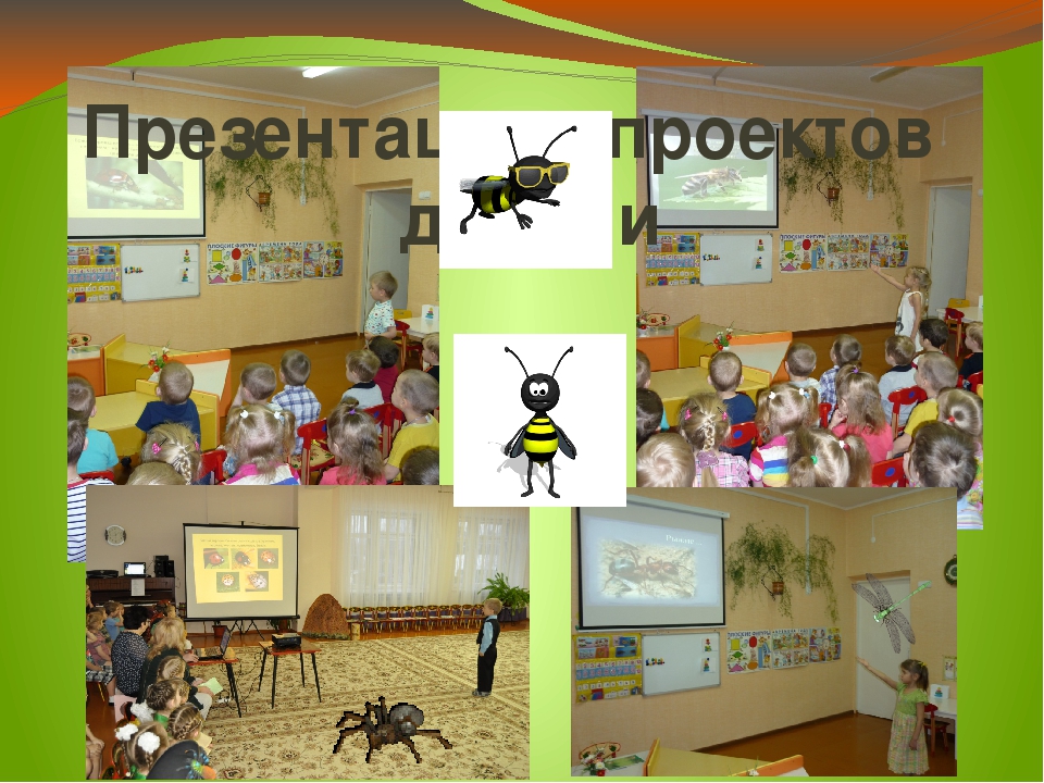 Презентация проекта "Хочу всё знать про насекомых"