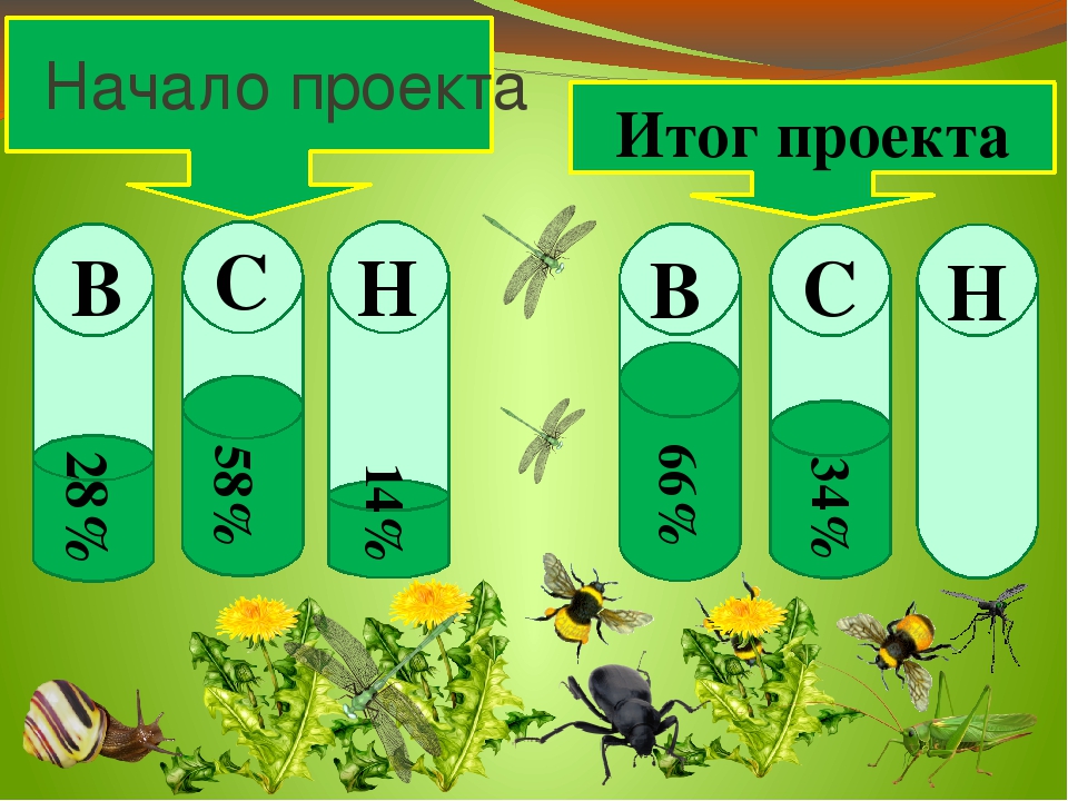 Презентация проекта "Хочу всё знать про насекомых"