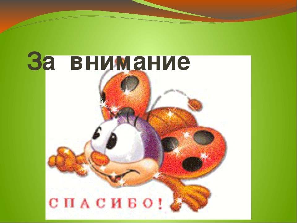 Презентация проекта "Хочу всё знать про насекомых"