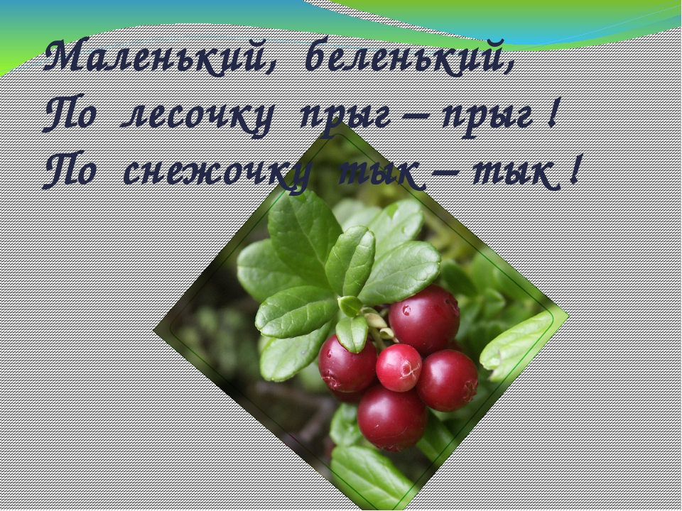 Дидактическая игра "Животные Коми Республики"