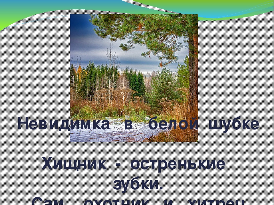 Дидактическая игра "Животные Коми Республики"