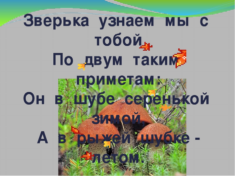 Дидактическая игра "Животные Коми Республики"