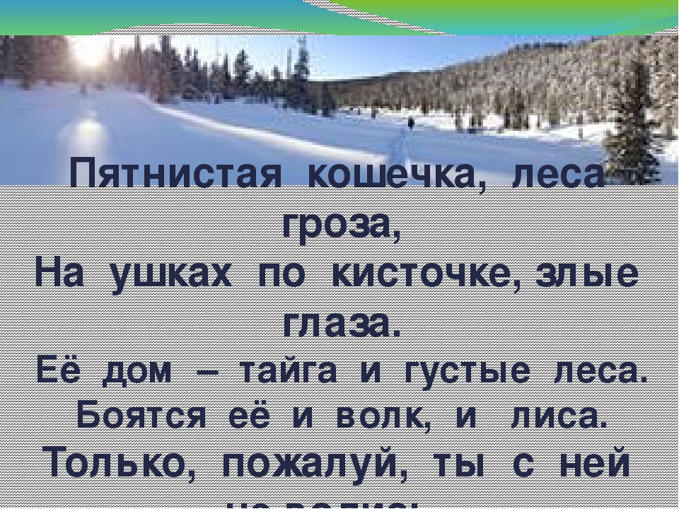 Дидактическая игра "Животные Коми Республики"