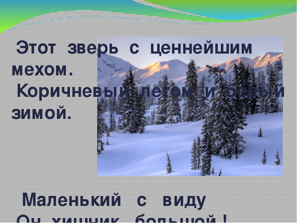 Дидактическая игра "Животные Коми Республики"