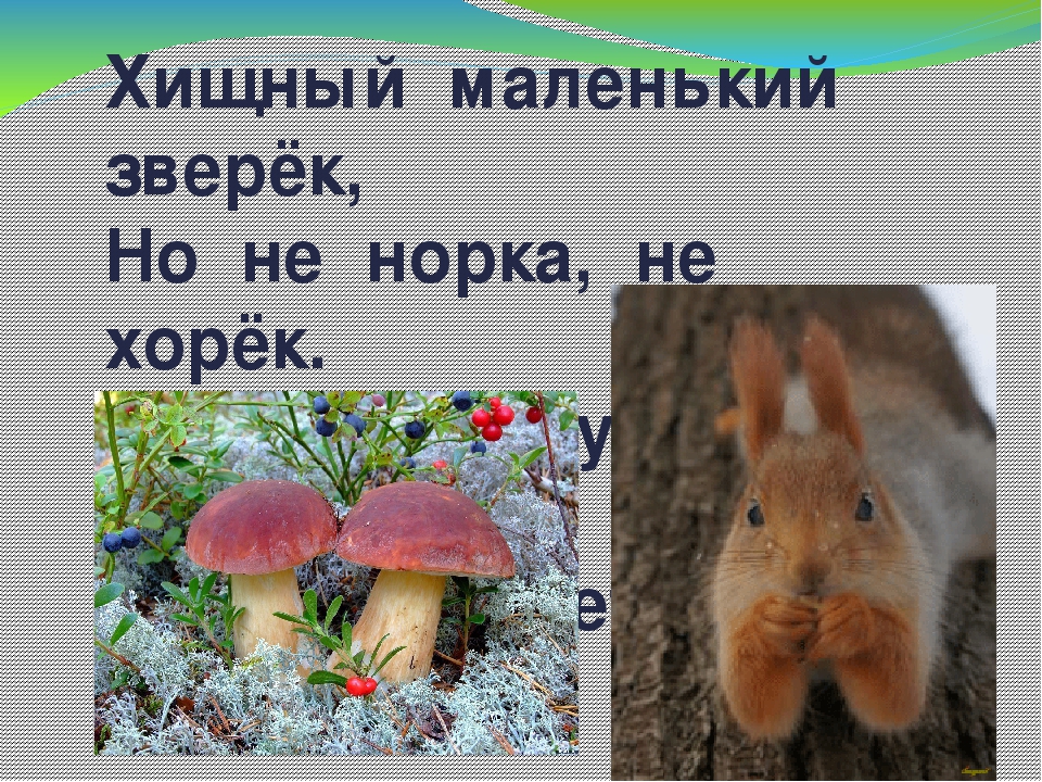 Дидактическая игра "Животные Коми Республики"