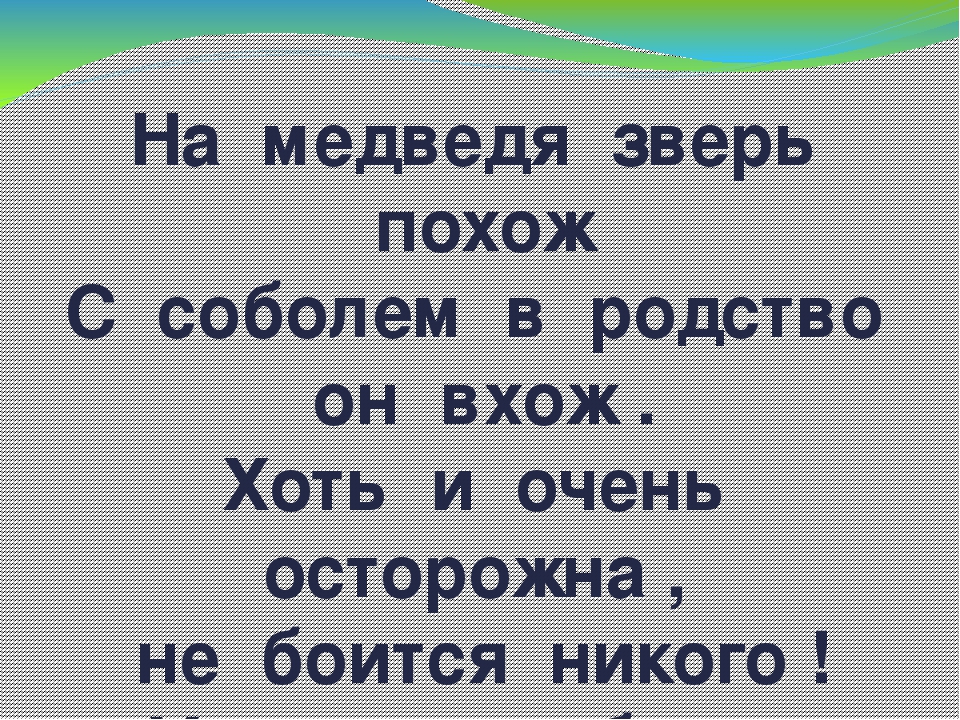 Дидактическая игра "Животные Коми Республики"
