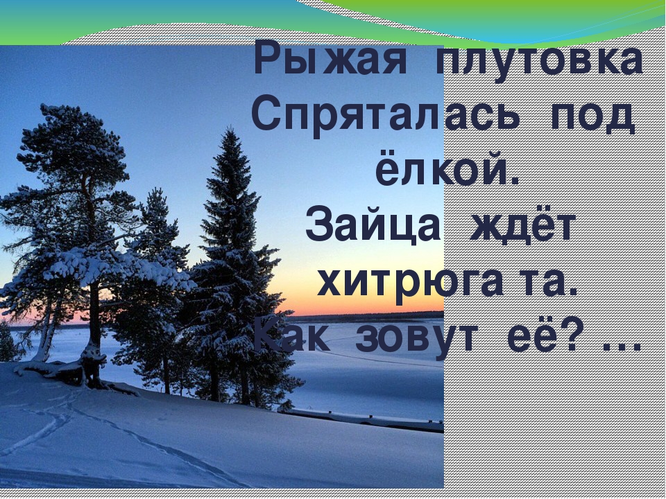 Дидактическая игра "Животные Коми Республики"