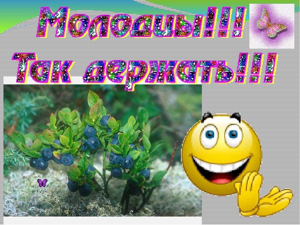 Дидактическая игра "Животные Коми Республики"