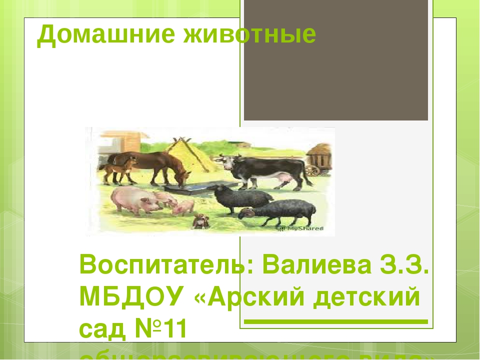 Презентация для детей 2 младшей группы "Домашние животные"