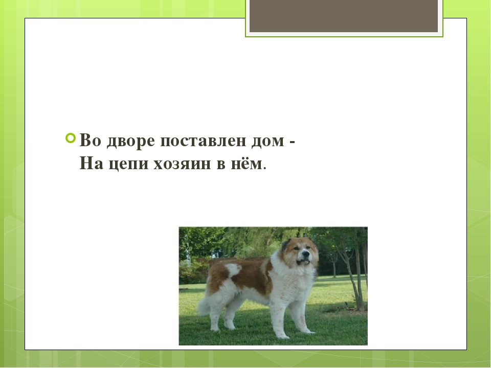 Поставь домой. Во дворе поставлен дом на цепи хозяин в нём. Загадка во дворе поставлен дом на цепи хозяин в нем ответ. Во дворе поставлен дом на цепи. Во дворе поставлен дом на цепи хозяин в нё м.