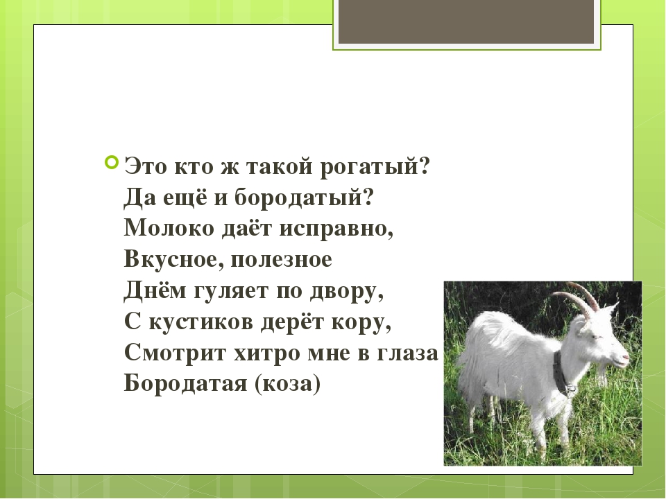 Презентация для детей 2 младшей группы "Домашние животные"