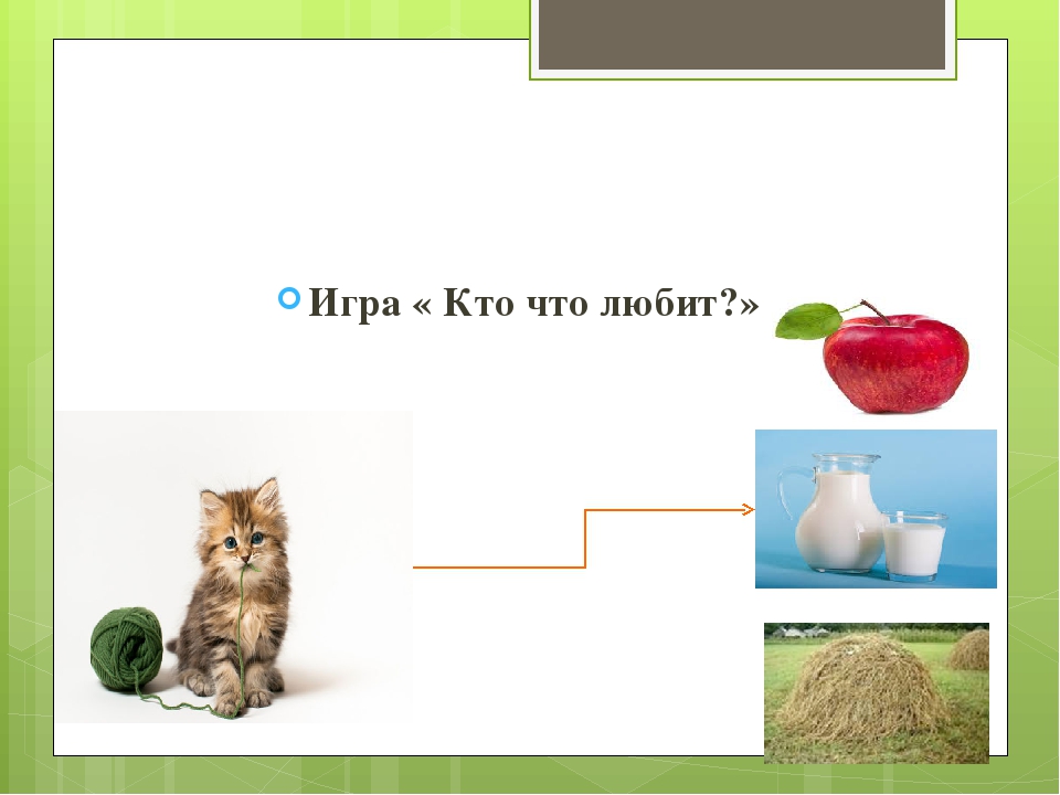 Презентация для детей 2 младшей группы "Домашние животные"