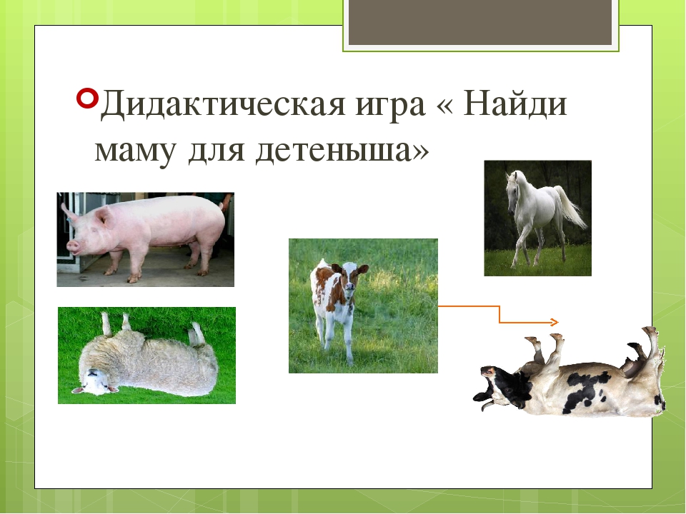 Презентация для детей 2 младшей группы "Домашние животные"
