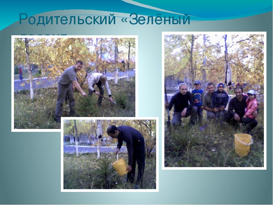 Презентация "Опыт работы с детьми старшего дошкольного возраста"