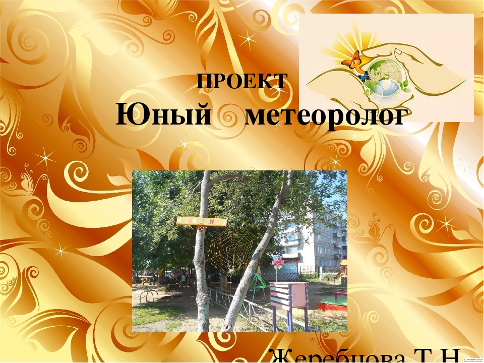 Презентация проекта" Юный метеоролог"