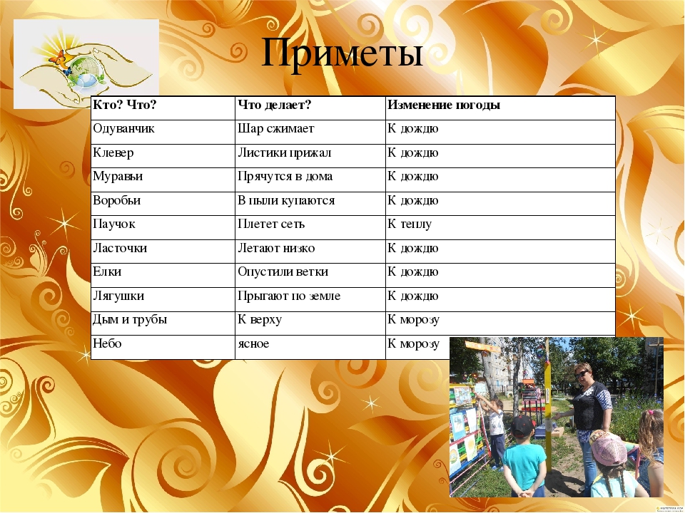 Презентация проекта" Юный метеоролог"