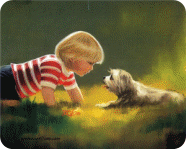 Picture 22