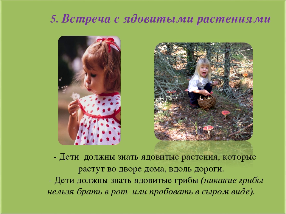Общее родительское собрание на тему: «Безопасность детей — забота взрослых».