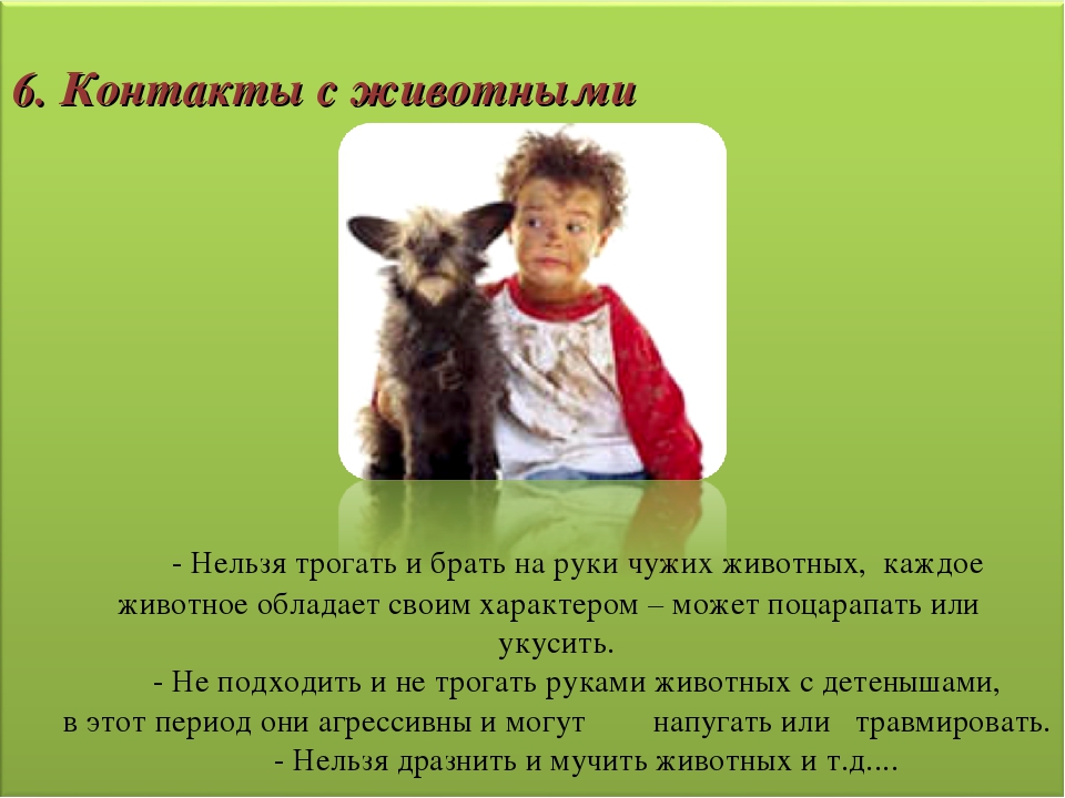 Общее родительское собрание на тему: «Безопасность детей — забота взрослых».