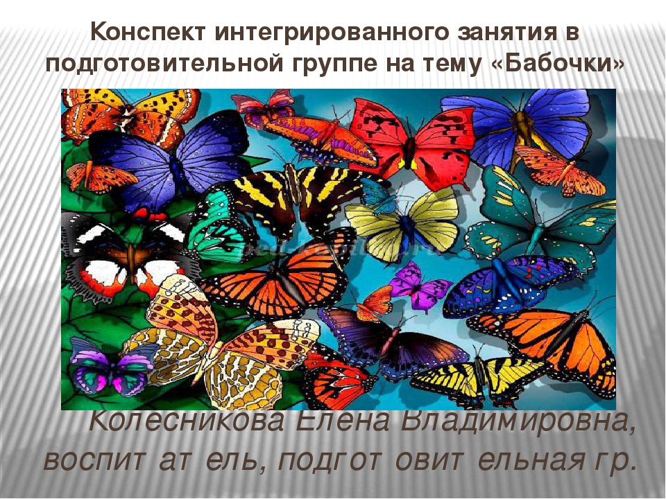 Презентация по окружающему миру на тему: "Бабочки"